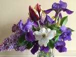 Spring Tulips, Irises, Dogwood
